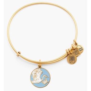 Alex and Ani Special Delivery Expandable Bangle